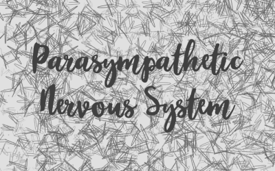 The parasympathetic nervous system at a glance